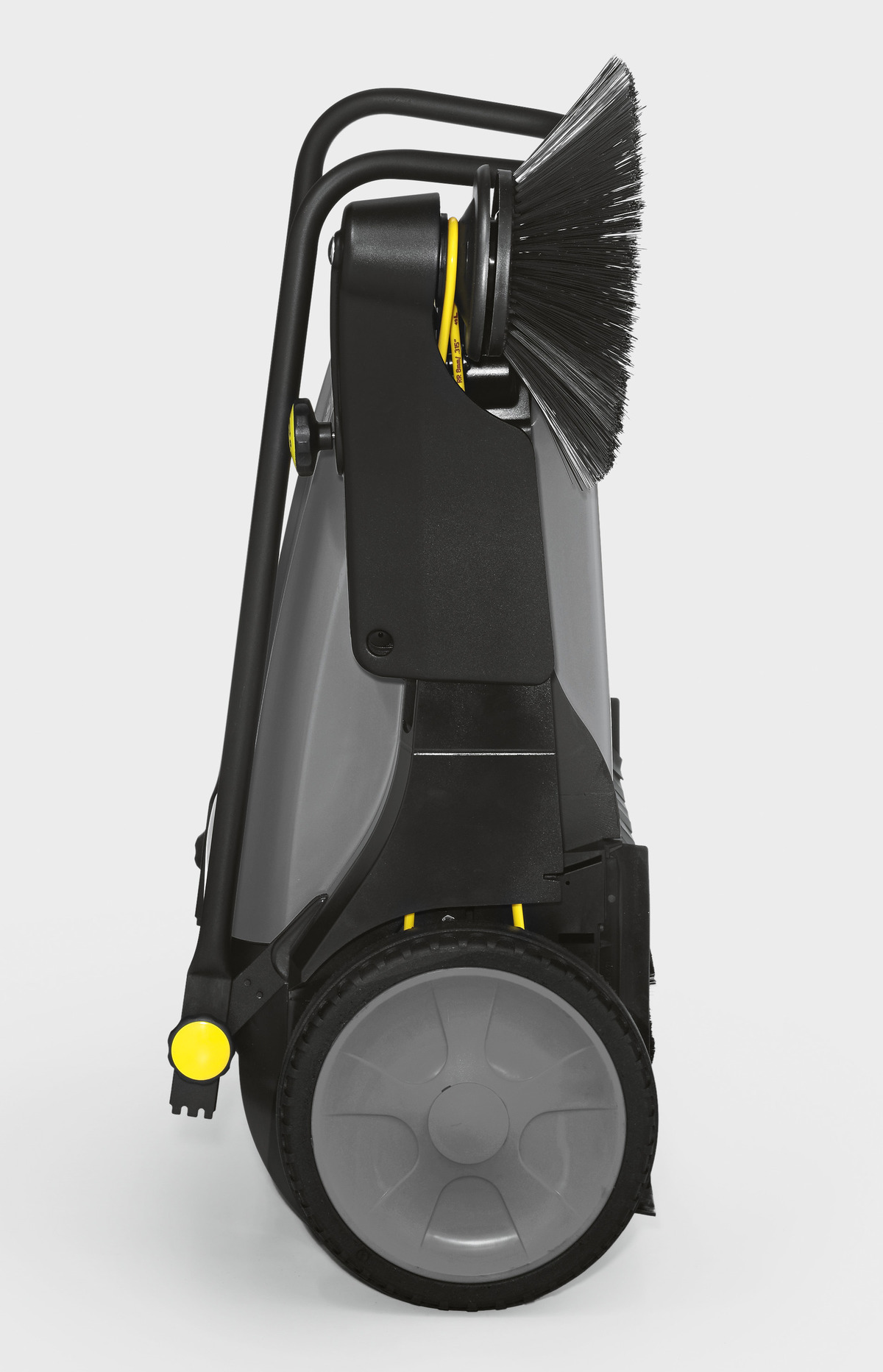 d1 (1).jpg